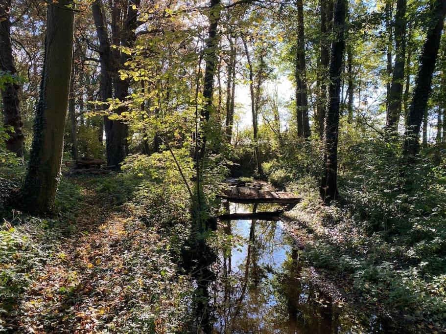 Wassermuehle Triglitz - Alleinlage Fuer Retreats, Workshops, Family & Friends Exterior foto